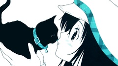 Cats collar hats contrast