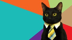 Cats colors meme bussines