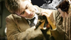 Cats david tennant Doctor