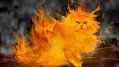Cats fire artwork