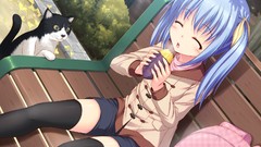 Cats food bench Ribbons blue hair long hair anime girls closed 