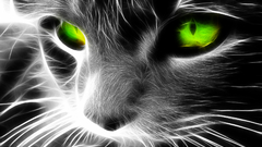Cats Fractalius
