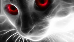 Cats Fractalius
