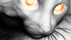 Cats Fractalius