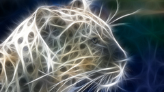 Cats Fractalius