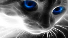 Cats Fractalius