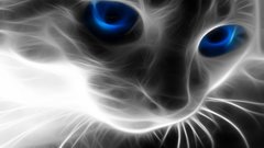Cats Fractalius