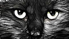 Cats Fractalius