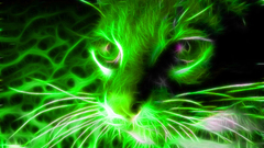 Cats Fractalius