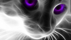 Cats Fractalius