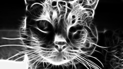 Cats Fractalius grayscale
