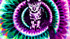 Cats Fractals trippy