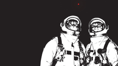 Cats funny astronauts