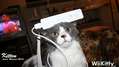 Cats funny Nintendo Wii