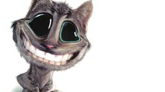 Cats funny Simple Background