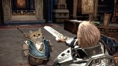 Cats funny video games