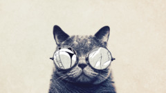 cats glasses Animals Beige frontal view Simple Background