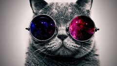 cats glasses Space abstract Minimalism Animals digital art black