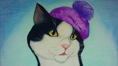 Cats hats artwork