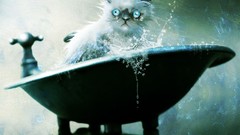 Cats illustrations bathtubs