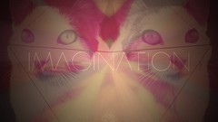 Cats imagination acid trip