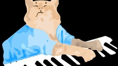 Cats keyboards