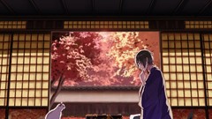 Cats kimono Traditional Japanese clothes Shogi