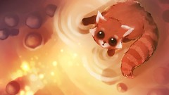 Cats Kittens apofiss