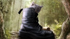 Cats Kittens forests puss in boots artwork