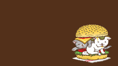 Cats Kittens hamburgers animal