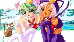 Cats little animal ears