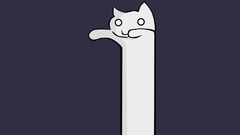 Cats Longcat meme