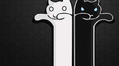 Cats Longcat Tacgnol