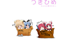 Cats Manga Anime tsukihime