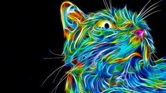 Cats Matei Apostolescu Fractalius