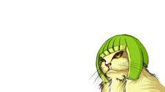 Cats melons helmets limecat