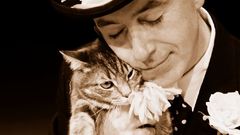 Cats Men sepia stephen