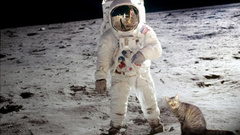 Cats moon astronauts