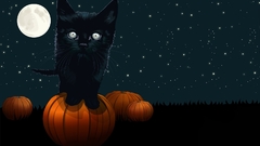 Cats moon pumpkins night