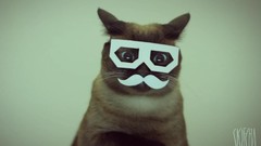 Cats mustache dubstep scifcha Stereo Skifcha