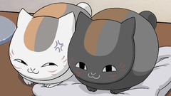 Cats natsume yuujinchou