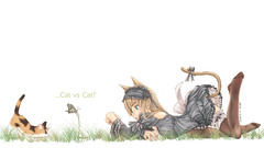 Cats nekomimi animal ears