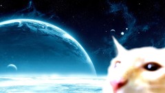 Cats outer space