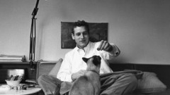 Cats paul newman
