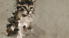 Cats Photo manipulation