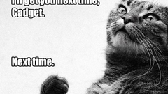 Cats Quotes Inspector Gadget