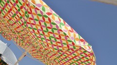 Cats Rome Umbrellas Istanbul bunt