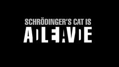 Cats Schrödingers Cat