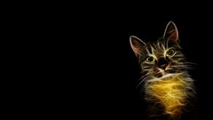 Cats Simple Background