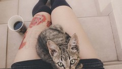 Cats socks tattoos legs together Jeans Babes